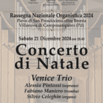 Concerto di Natale 2024